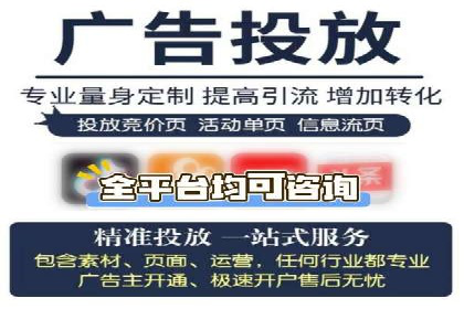 SEM广告投放策略：成功案例解析